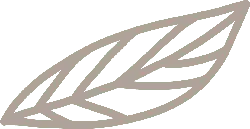Leaf - environmental protection - Trending PNG