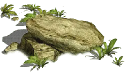 Rock and Plant - Highly Rated PNG
