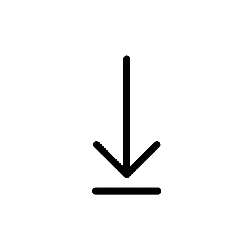 Black Cat - cat - night animal - High Resolution PNG