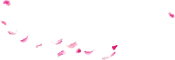 Pink Petals Falling - pink - PNG Images