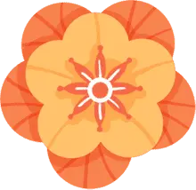 Flower Pattern - geometric - abstract - Free Download PNG