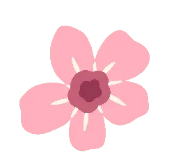 Pink Flower - simple - No Background PNG