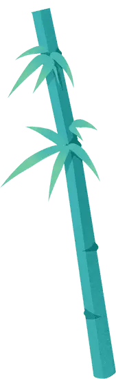 Bamboo - nature - Transparent Background PNG