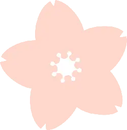 Cherry Blossom - High Download Count PNG - High Resolution PNG