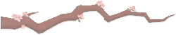 Cherry Blossom Branch - pink - flowers - High Resolution PNG
