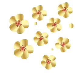 Golden Cherry Blossoms - nature - High Resolution PNG