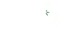 Chun Tian Di - spring - Transparent Background PNG