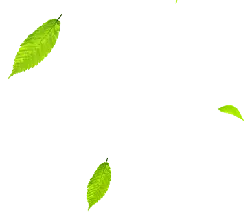 Leaf - nature - falling - Free Download PNG