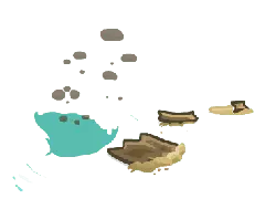 Dolphin - aquatic animal - Transparent Layer PNG