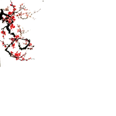 Plum Blossom - winter - black background - No Background PNG