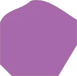 Purple Polygon - color - Transparent Background PNG