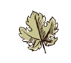 Maple Leaf - leaf - brown - PNG Images