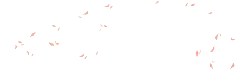 Butterflies - insect - Lossless PNG