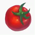 Tomato - circle - PNG