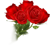 Red Rose - beautiful - Fast Download PNG - Pic 1