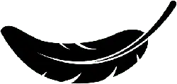 Feather - lightweight - elegant - High Resolution PNG