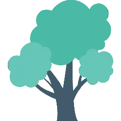 Tree - plant - Highly Rated PNG