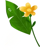Yellow Flower and Green Leaves - plant - Lossless PNG