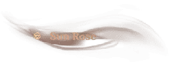Sun Rose - plant - Transparent Background PNG