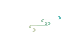 S Curve - line art - No Watermark PNG