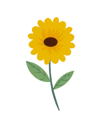 Sunflower - yellow - Recommended PNG