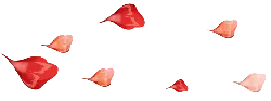 Falling Rose Petals - petal - romantic - Transparent Layer PNG