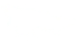 Cloud - Transparent Background PNG - sky