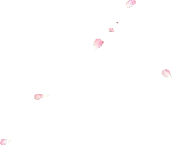 Pink Petals Falling - pink - nature - Free PNG