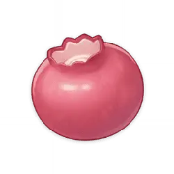Pomegranate - circular - Lossless PNG