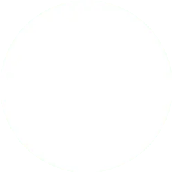 White Circle - Designer's Pick PNG