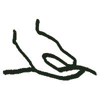 Line Drawing - minimalistic - High Resolution PNG