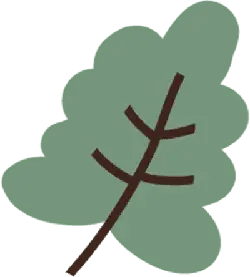 Oak Leaf - nature - High Resolution PNG