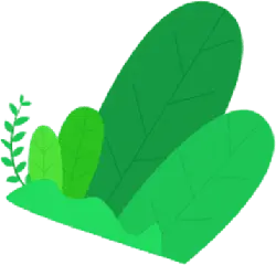Green Plant - growth - Lossless PNG