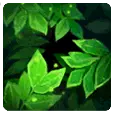 Green Leaves - PNG Images - plant