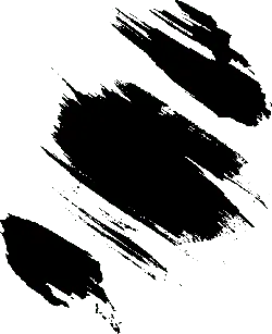 Black Owl - No Background PNG - nocturnal - Pic 5