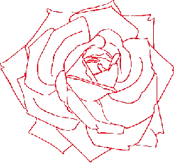 Rose - line art - abstract - High Resolution PNG
