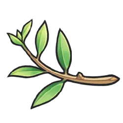 Branch - plant - green - PNG