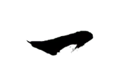 Black Cat - High Download Count PNG - Free PNG