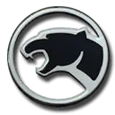 Black Panther - sf - High Resolution PNG