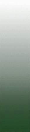 Green Gradient Background - solid color - Transparent Layer PNG