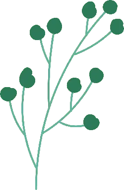Green Branch - simple - No Background PNG
