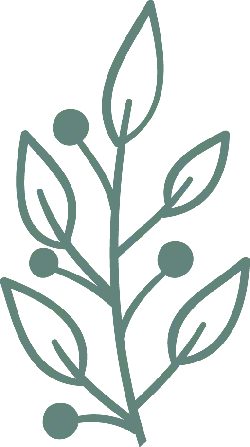 Plant Branch - minimalist - Transparent Background PNG