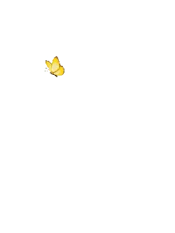 Yellow Butterfly - nature - Trending PNG