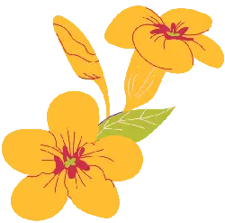 Yellow Flower - nature - Transparent Background PNG