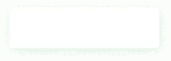 White Rectangle - Transparent Layer PNG