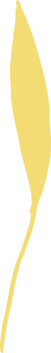 Leaf - High Resolution PNG - Designer Recommended PNG