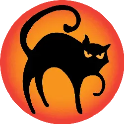 Black Cat - night - halloween - High Resolution PNG
