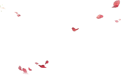 Cherry Blossom Petals Falling - petal - Free for Commercial Use PNG