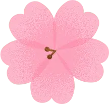 Pink Cherry Blossom - beautiful - High Resolution PNG