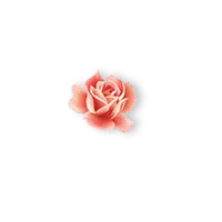 Lossless PNG - nature - Pink Rose - Pic 1